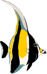 Moorish-Idol-Fish.gif